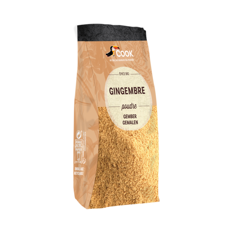 Gingembre poudre, sachet coussin 500g