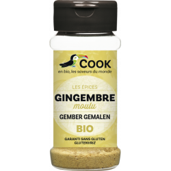 Gingembre poudre 30g