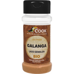 Galanga poudre 25g