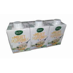 Millet cuisine briquette...