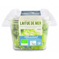 Laitue de mer 120g (ulva,...