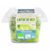 Laitue de mer 120g (ulva, sel marin)