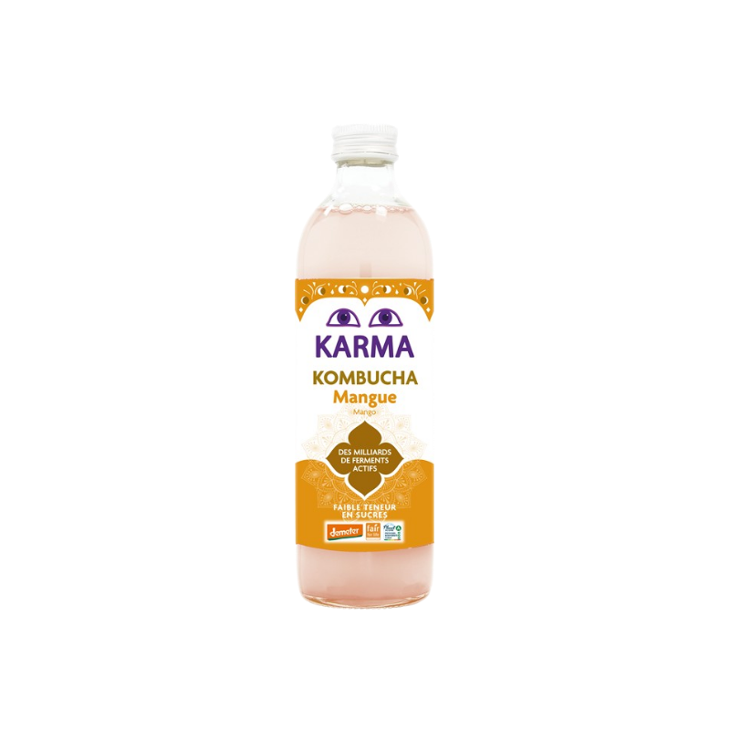 Kombucha mangue Demeter 50cl