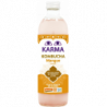 Kombucha mangue Demeter 50cl