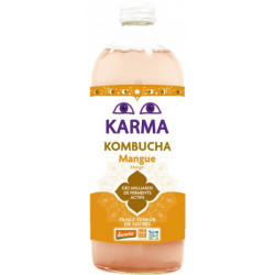 Kombucha mangue Demeter 1l