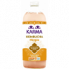 Kombucha mangue Demeter 1l