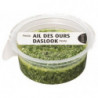 Pesto frais à l'ail des ours 125g