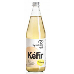 Kéfir de fruit, gingembre,...