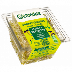 Graine germée alfalfa...