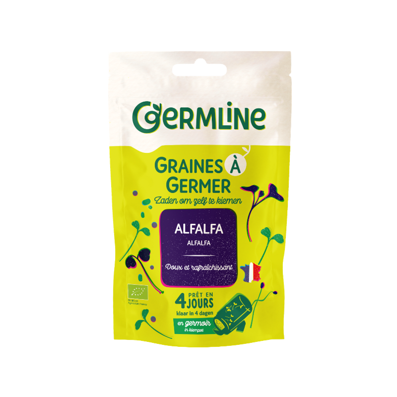 Graines à germer alfalfa 150g