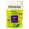 Graines à germer alfalfa 150g