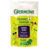 Graines à germer radis noir 150g