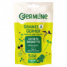 Graines à germer alfalfa roquette 150g