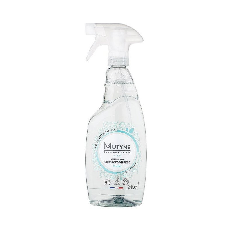 Spray surface vitrée menthe 750ml