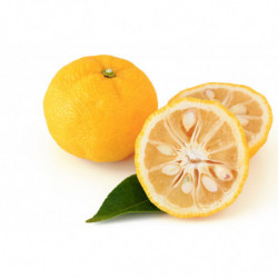 CITRON YUZU BARQUETTE