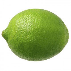 CITRON VERT LIME cal 3/4