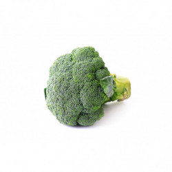 CHOU BROCOLI  PRINCE DE BRETAGNE®