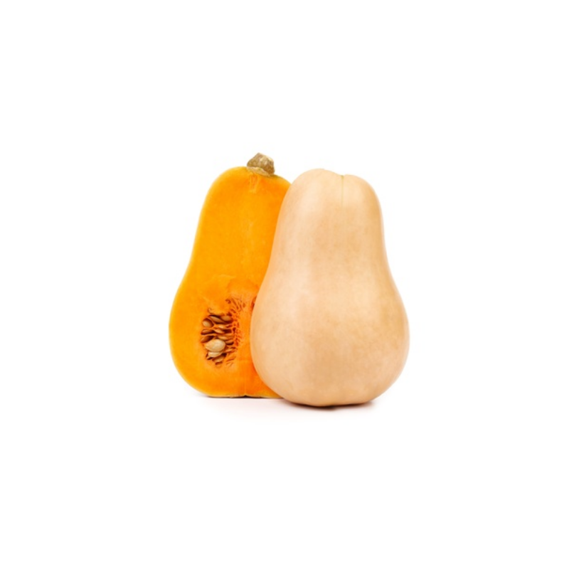 COURGE BUTTERNUT  PRINCE DE BRETAGNE®