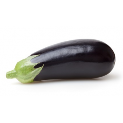 AUBERGINE NOIRE SERRES NON...