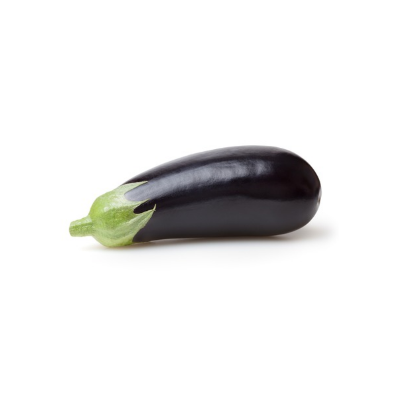 AUBERGINE NOIRE SERRES NON CHAUFFEES