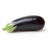 AUBERGINE NOIRE SERRES NON CHAUFFEES