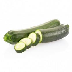 COURGETTE LONGUE VERTE CALIBRE 14/21 SERRES NON CHAUFFEES