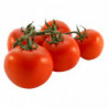 TOMATE RONDE EN GRAPPE SUPREME BIO®  SERRES NON CHAUFEES