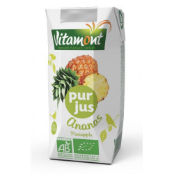 Tétra pur jus ananas 20cl, pack de 6