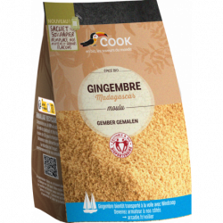 Gingembre moulu 100g