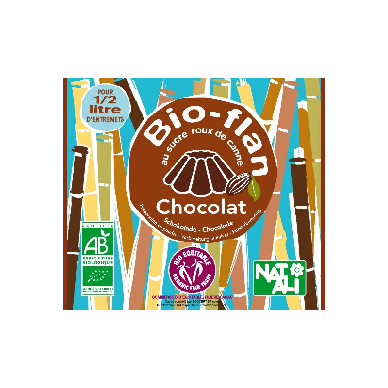 Bioflan chocolat au sucre de canne sachet 1/2l