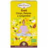 Infusion Eveil: citron pomme et gingembre 16 sachets