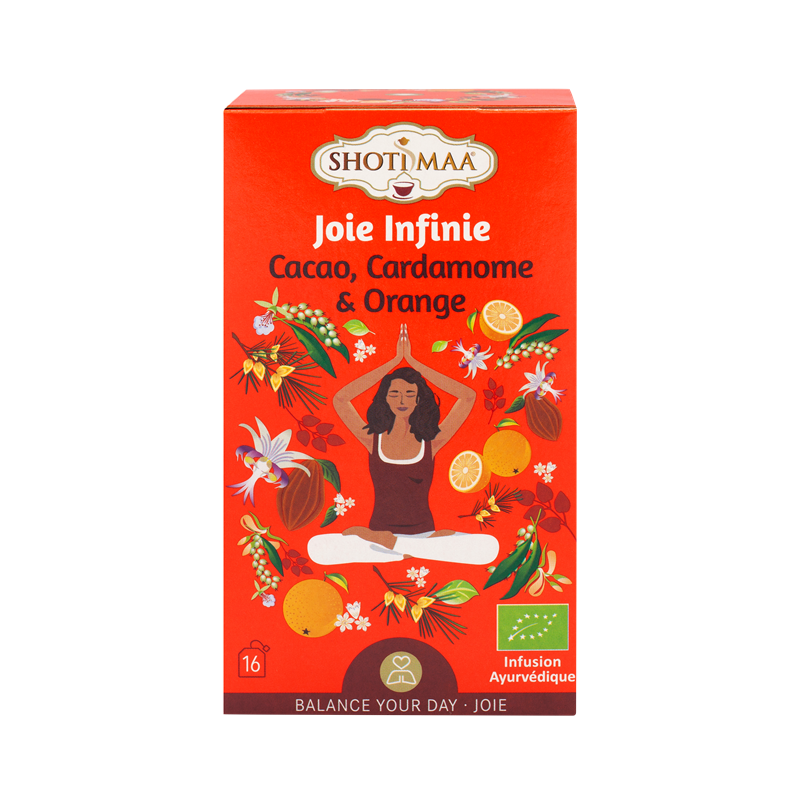 Infusion Joie infinie: cacao cardamome et orange 16 sachets