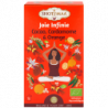 Infusion Joie infinie: cacao cardamome et orange 16 sachets