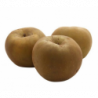 POMME REINETTE GRISE DU CANADA cal 95/130