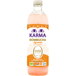 Kombucha agrumes sans...