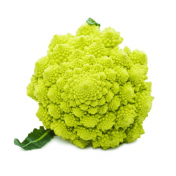 CHOU ROMANESCO CALIBRE...