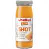 Shot gingembre curcuma 95ml