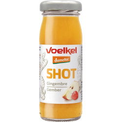 Shot gingembre 95ml