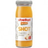 Shot gingembre 95ml