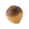 RUTABAGA PRINCE DE BRETAGNE®