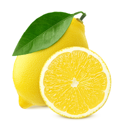 CITRON JAUNE PRIMOFIORE cal4