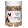 Herbe à chat, cataire 40g