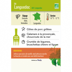 Vin blanc AOC Languedoc Oé 75 cl